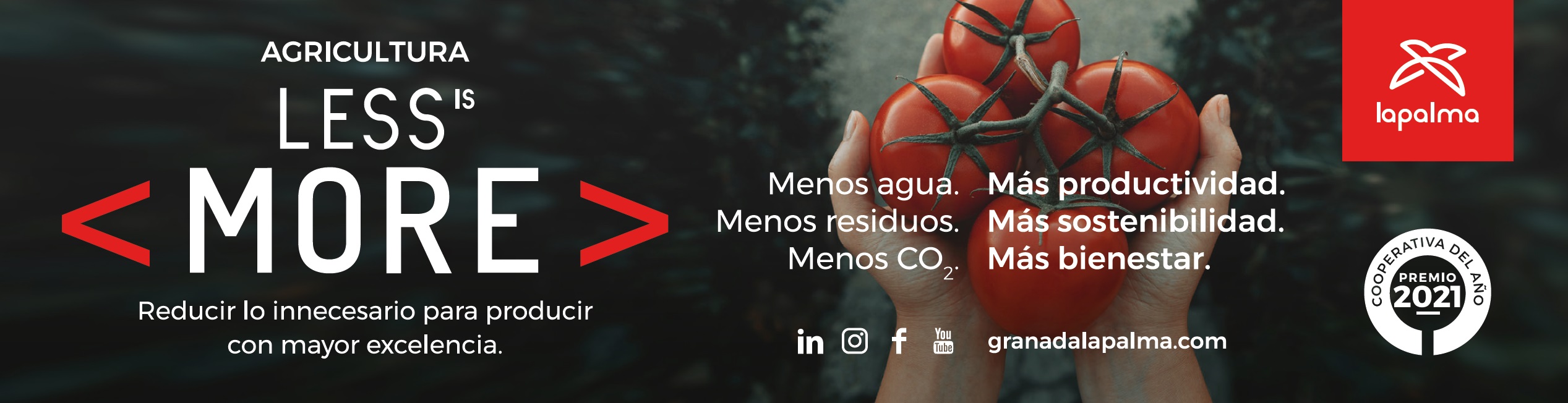 publi palma generico