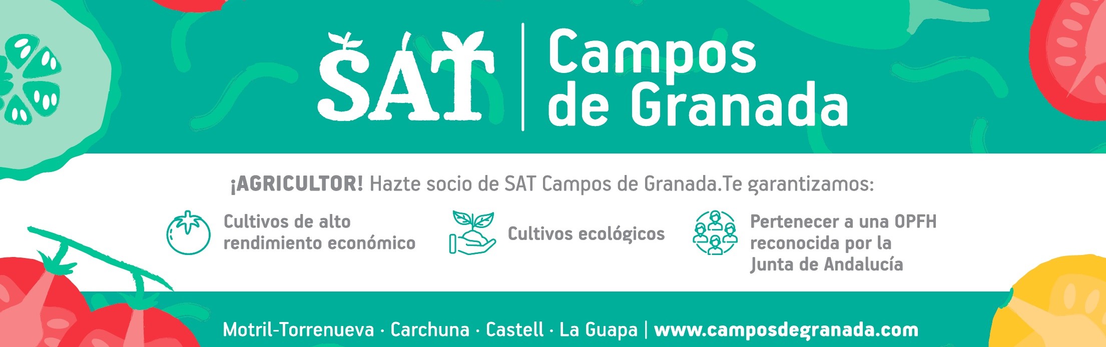 SAT Campos de Granada